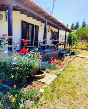 Villa Alva